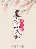世子的农家小夫郎盘