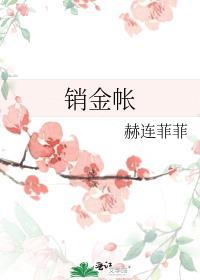 销金帐是什么意思