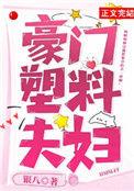 豪门塑料夫妇银八TXT百度