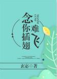 念你插翅难飞玄秘