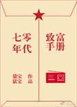 重生七十年代致富经