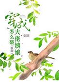 穿成大佬姨娘怎么破笔趣