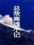 总裁离魂小记作者木三观