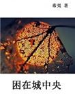 困在城中央百度