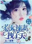 军门枭宠厉少神秘