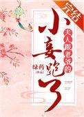 夫人跟老爷的小妾跑了书评