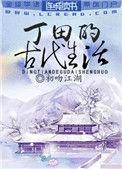 丁田的古代生活完结 番外