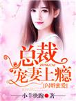 闪婚蜜爱宠总裁独宠