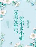 完美先生和差不多小姐分集
