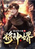 将神婿治安
