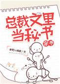 总裁文r