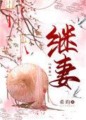 继妻 希昀全文免费阅读