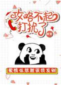 攻略不起打扰了 百度