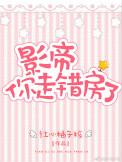 影帝拿错了剧本[清穿