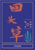回头草打一数字