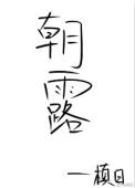 朝露昙花咫尺天涯全文免费阅读