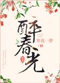 歌曲醉春光