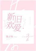 新欢旧爱的歌