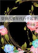 穿越之八零年代白富美