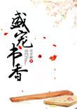 盛宠书香番外