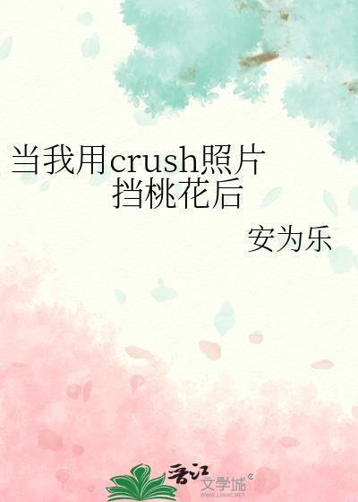 当我用crush照片挡桃花后作者安为乐晋江