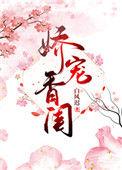 娇宠完整版