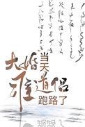大婚当天准道侣跑路了 番外