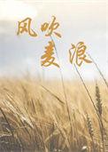 风吹麦浪电影