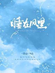 他睡在风里再版