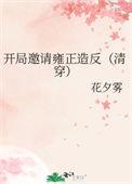 开局直播雍正