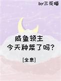 咸鱼领主不想搞建设74