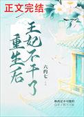 重生以后王妃飘了