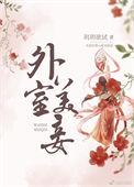 外室美妾百度