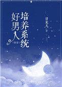 好男人培养系统同类型