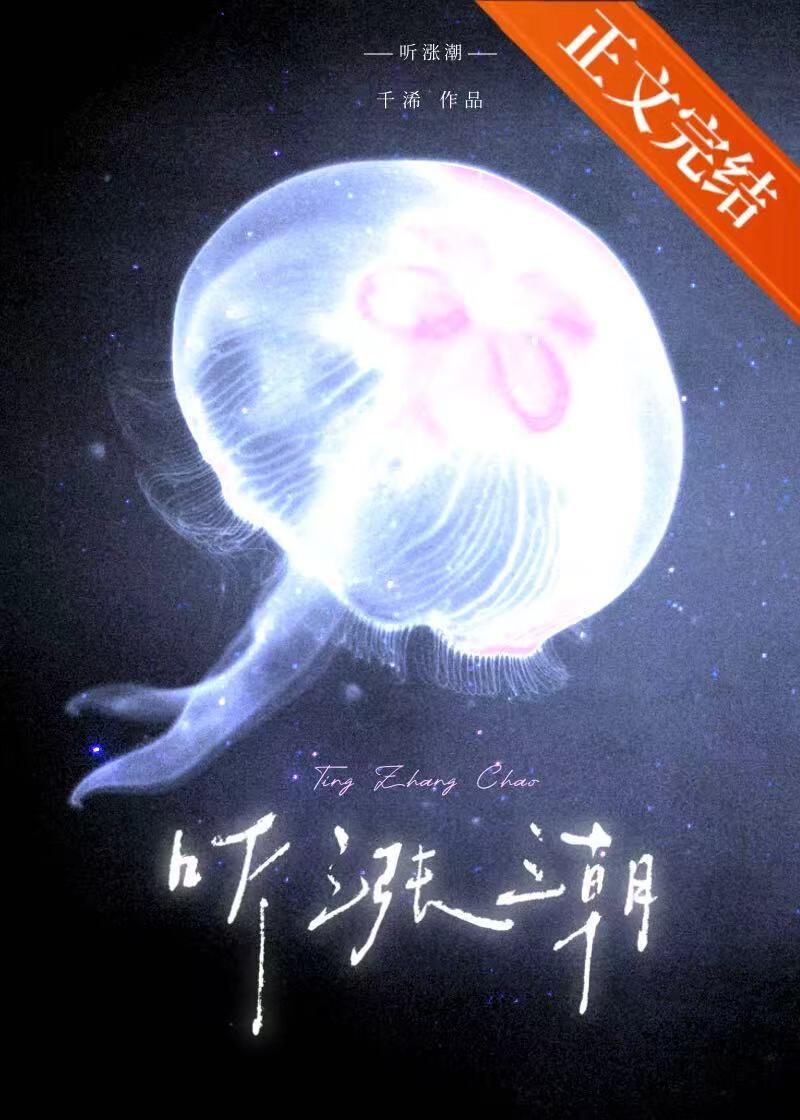 听涨潮晋江