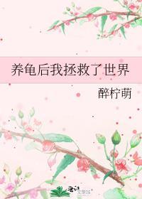 我养了一只小乌龟