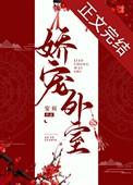 娇宠外室镇国公世子