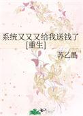 系统又给我送钱了苏乙墨
