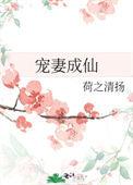 宠妻成凤无防盗