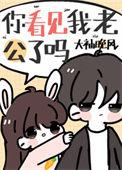 你看见我老公了吗好看吗书评