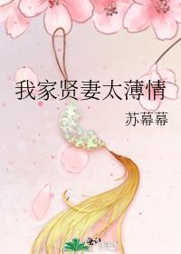 我家贤妻太薄情 苏幕幕晋江