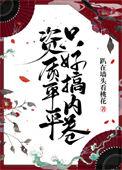 资质平平但顶美笔趣阁免费