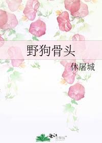 野狗骨头全32集