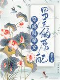 穿成科举文男主的童养媳作者将月去