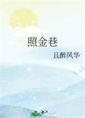 照金巷最新章节免费阅读