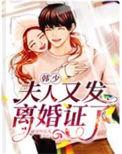 韩少夫人有三个大佬免费阅读