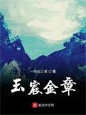 玉宸金章TXT免费