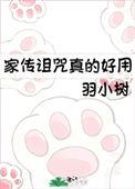 家传是什么意思