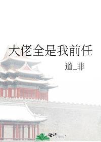 大佬都是我前男友宝书网