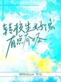 转校生好像有点奇怪大结局